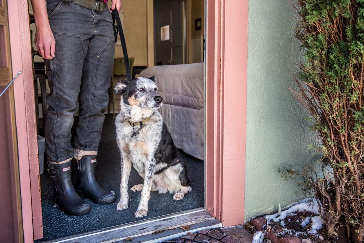 Jonquil Motel ビスビー エクステリア 写真